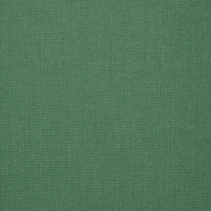 Solid green color swatch