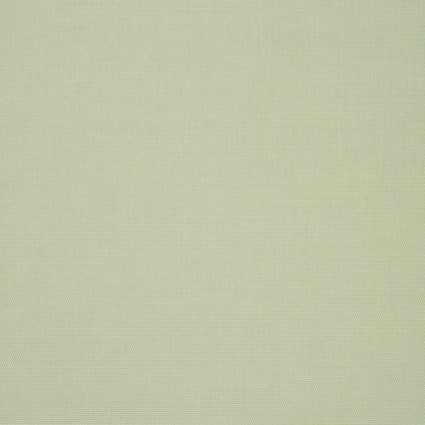 Solid light green color swatch