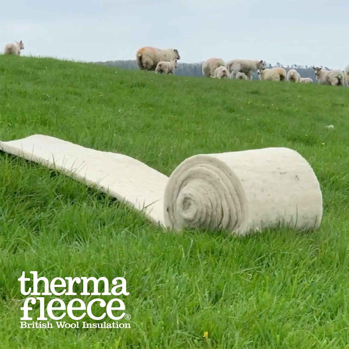 Thermafleece CosyWool Roll
