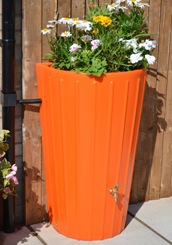 Orange Cosmo Mini Water Butt Planter