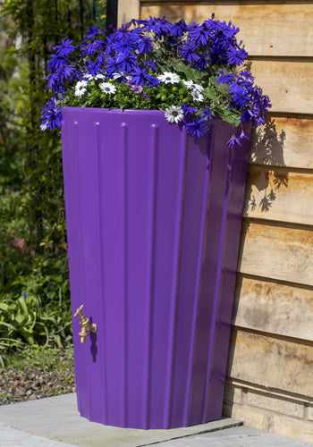 Cosmo Mini Water Butt Planter Purple