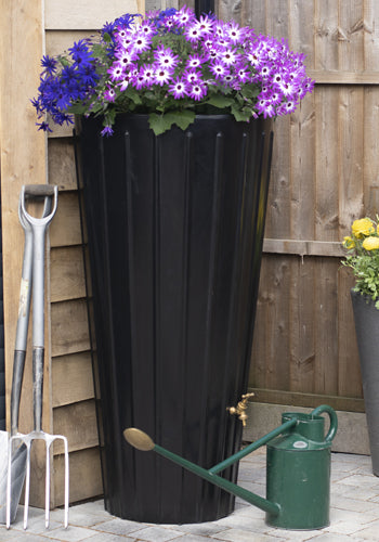 Black Cosmo Water Butt