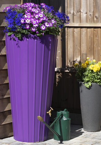 Cosmo Water Butt Purple