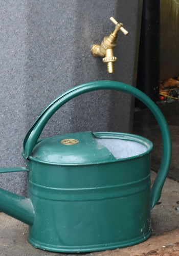 Metropolitan Water Butt Planter Example