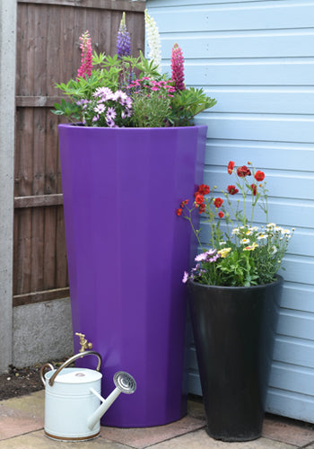 Water Butt - Metropolitan Water Butt Planter purple
