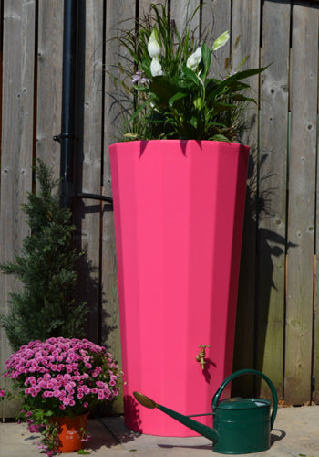 Pink Metropolitan Water Butt Planter