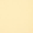 Solid light yellow color swatch