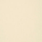 Solid light beige color swatch