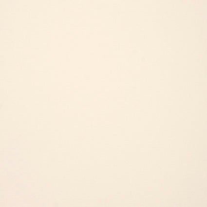 off white colour swatch