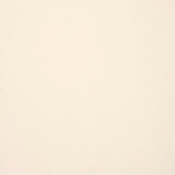 Solid light beige color swatch