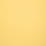Solid light yellow color swatch