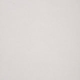 Solid light gray color swatch