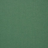 Solid green color swatch 