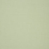 Solid light green color swatch