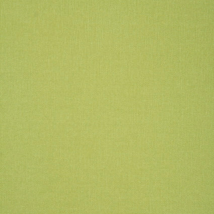 Solid light green color swatch