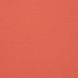 Solid red colour swatch